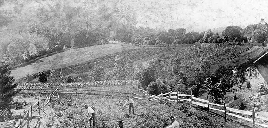 Farm workers at Pullenvale 1889 courtesy SLQ